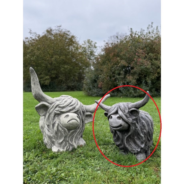 Westhighland Rind Aria